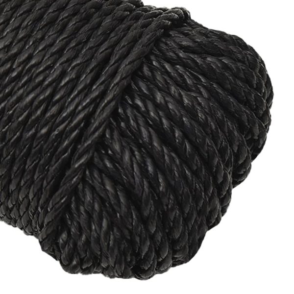 Work Rope Black 12 mm 100 m Polypropylene - Image 16