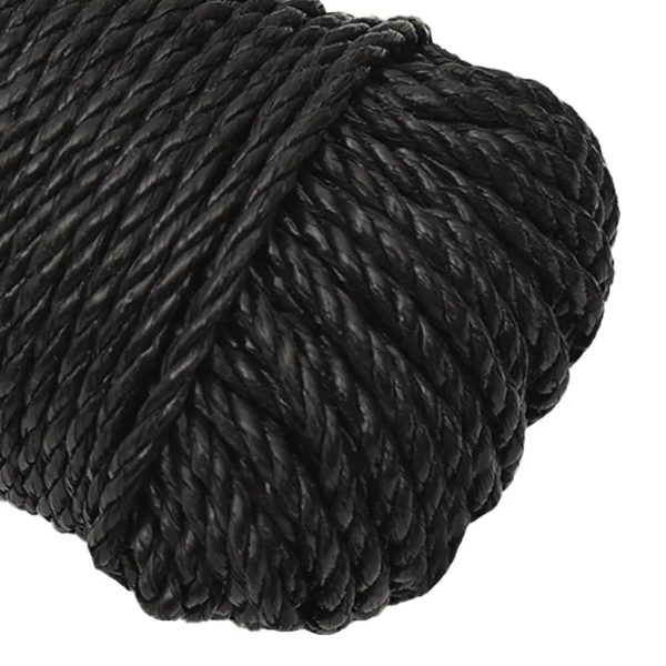 Work Rope Black 12 mm 100 m Polypropylene - Image 22